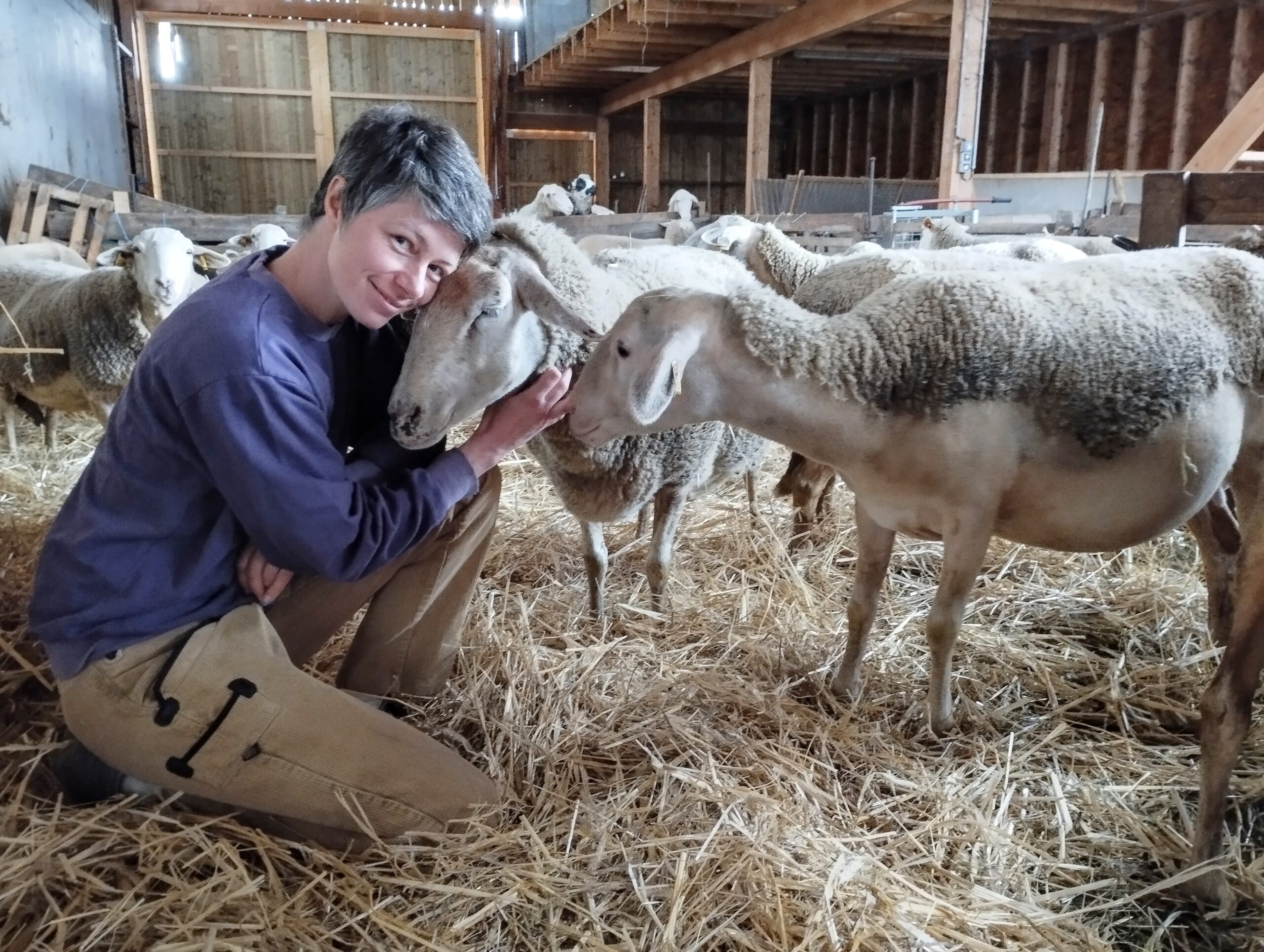 Nadine fait un câlin à une brebis